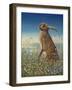 Hare, 1984-Frances Broomfield-Framed Premium Giclee Print