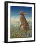 Hare, 1984-Frances Broomfield-Framed Premium Giclee Print