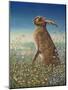 Hare, 1984-Frances Broomfield-Mounted Premium Giclee Print