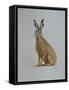 Hare, 2021 (watercolour)-Eleanor Grafton-Framed Stretched Canvas