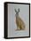 Hare, 2021 (watercolour)-Eleanor Grafton-Framed Stretched Canvas