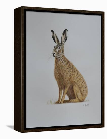 Hare, 2021 (watercolour)-Eleanor Grafton-Framed Stretched Canvas