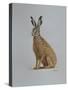 Hare, 2021 (watercolour)-Eleanor Grafton-Stretched Canvas