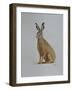 Hare, 2021 (watercolour)-Eleanor Grafton-Framed Giclee Print