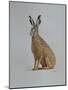 Hare, 2021 (watercolour)-Eleanor Grafton-Mounted Giclee Print