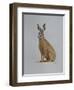 Hare, 2021 (watercolour)-Eleanor Grafton-Framed Giclee Print