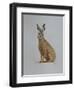 Hare, 2021 (watercolour)-Eleanor Grafton-Framed Giclee Print