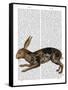 Hare and Black Leaves-Fab Funky-Framed Stretched Canvas