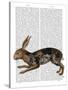 Hare and Black Leaves-Fab Funky-Stretched Canvas