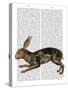 Hare and Black Leaves-Fab Funky-Stretched Canvas