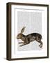 Hare and Black Leaves-Fab Funky-Framed Art Print