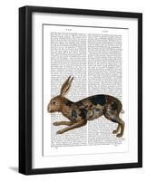 Hare and Black Leaves-Fab Funky-Framed Art Print