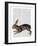 Hare and Black Leaves-Fab Funky-Framed Art Print