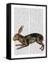 Hare and Black Leaves-Fab Funky-Framed Stretched Canvas