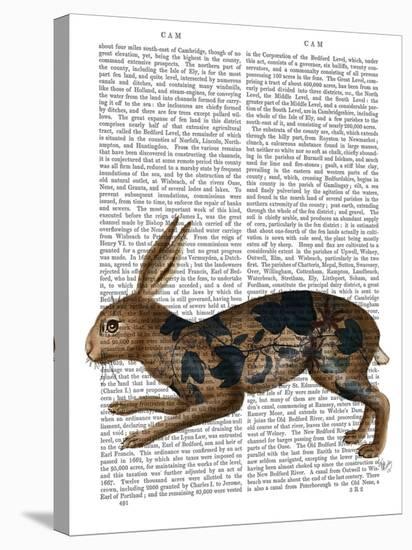 Hare and Black Leaves-Fab Funky-Stretched Canvas