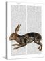 Hare and Black Leaves-Fab Funky-Stretched Canvas