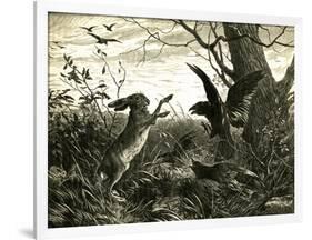 Hare Austria 1891-null-Framed Giclee Print