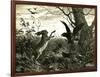 Hare Austria 1891-null-Framed Giclee Print