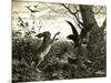 Hare Austria 1891-null-Mounted Giclee Print