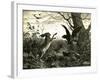 Hare Austria 1891-null-Framed Giclee Print