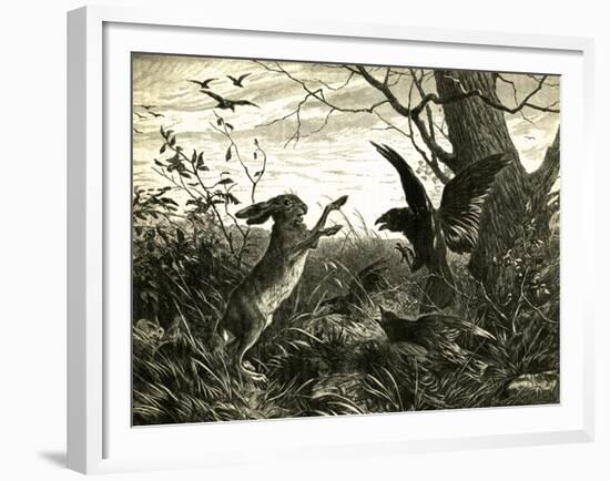 Hare Austria 1891-null-Framed Giclee Print