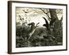 Hare Austria 1891-null-Framed Giclee Print