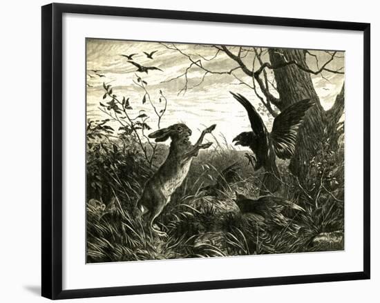 Hare Austria 1891-null-Framed Giclee Print