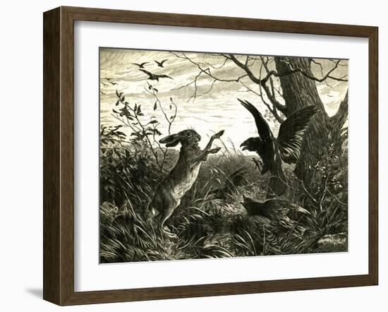 Hare Austria 1891-null-Framed Giclee Print