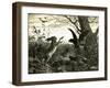 Hare Austria 1891-null-Framed Giclee Print