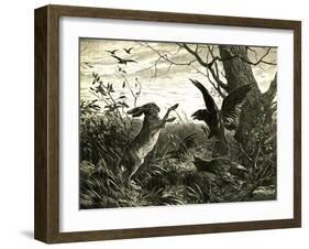 Hare Austria 1891-null-Framed Giclee Print