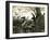 Hare Austria 1891-null-Framed Giclee Print