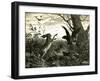 Hare Austria 1891-null-Framed Giclee Print