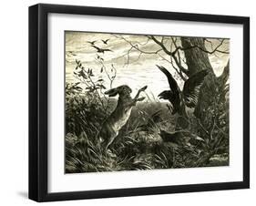 Hare Austria 1891-null-Framed Giclee Print