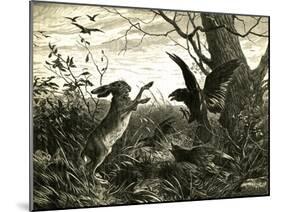 Hare Austria 1891-null-Mounted Giclee Print