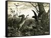 Hare Austria 1891-null-Framed Stretched Canvas