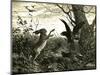 Hare Austria 1891-null-Mounted Premium Giclee Print