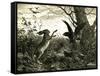 Hare Austria 1891-null-Framed Stretched Canvas