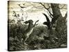 Hare Austria 1891-null-Stretched Canvas