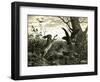 Hare Austria 1891-null-Framed Giclee Print