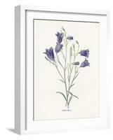 Hare-Bell-Gwendolyn Babbitt-Framed Art Print