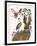 Hare Birdkeeper and Heron-null-Framed Art Print