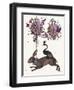 Hare Birdkeeper, Hot Air Balloon-null-Framed Art Print