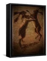 Hare Boxing-Tim Kahane-Framed Stretched Canvas