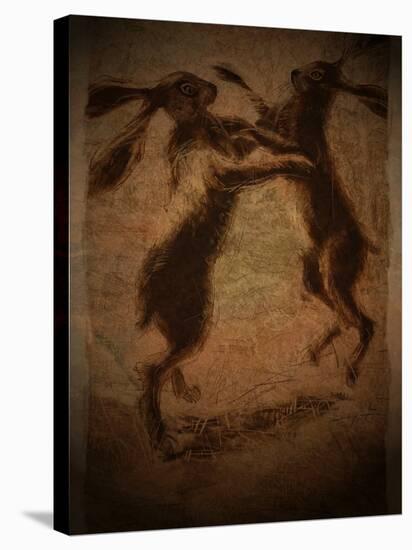 Hare Boxing-Tim Kahane-Stretched Canvas