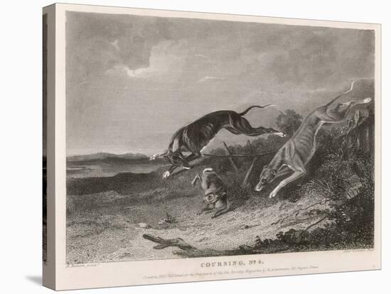 Hare Coursing-A. Duncan-Stretched Canvas