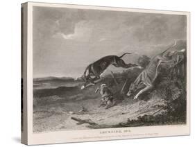 Hare Coursing-A. Duncan-Stretched Canvas