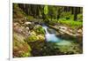 Hare Creek and Redwoods, Limekiln State Park, Big Sur, California, Usa-Russ Bishop-Framed Photographic Print