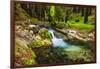 Hare Creek and Redwoods, Limekiln State Park, Big Sur, California, Usa-Russ Bishop-Framed Photographic Print