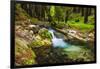 Hare Creek and Redwoods, Limekiln State Park, Big Sur, California, Usa-Russ Bishop-Framed Photographic Print