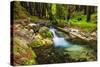 Hare Creek and Redwoods, Limekiln State Park, Big Sur, California, Usa-Russ Bishop-Stretched Canvas